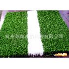 供應(yīng)人造草坪價格，人造草坪廠家，球場人造草坪設(shè)計施工服務(wù)
