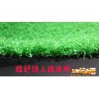 供應(yīng)專業(yè)廠家專門生產(chǎn)8-10mm網(wǎng)狀屋頂景觀草、人造草坪、人造草皮